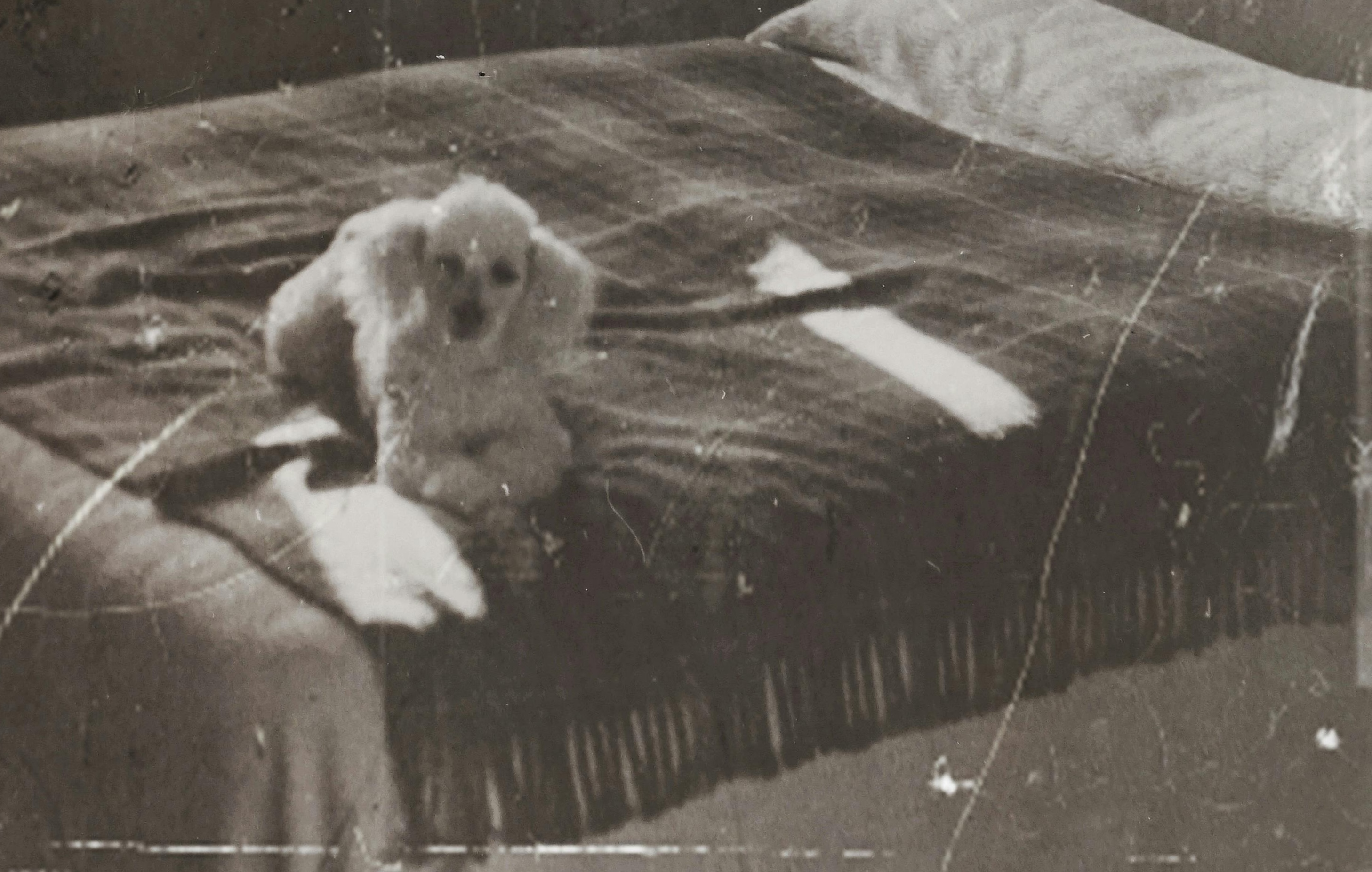 Before restoration